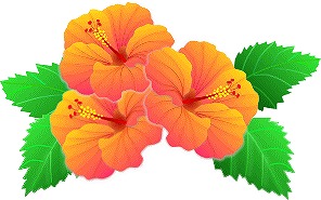 s-bd_hibiscus19.jpg