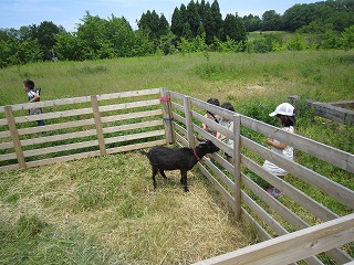 s-IMG_2859.jpg