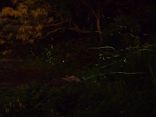 s-P6070567.jpg